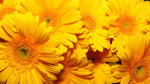 790094 (a): :1920x1080